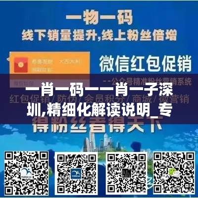 一肖一码一一肖一子深圳,精细化解读说明_专家版6.109