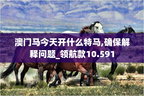 澳门马今天开什么特马,确保解释问题_领航款10.591