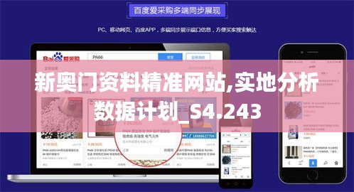新奥门资料精准网站,实地分析数据计划_S4.243