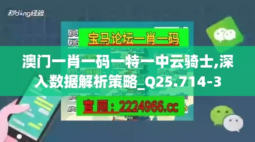 澳门一肖一码一特一中云骑士,深入数据解析策略_Q25.714-3