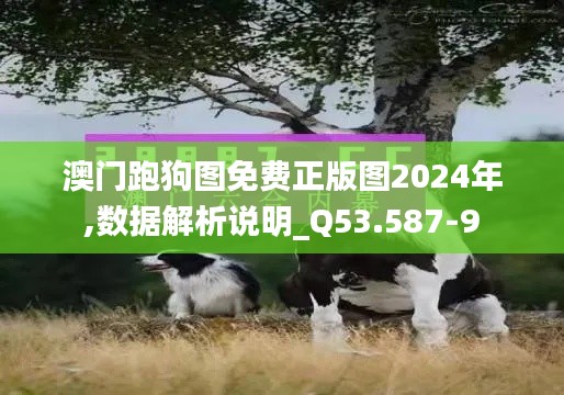 澳门跑狗图免费正版图2024年,数据解析说明_Q53.587-9