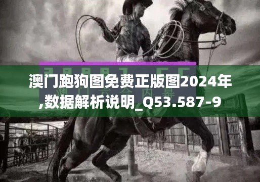 澳门跑狗图免费正版图2024年,数据解析说明_Q53.587-9