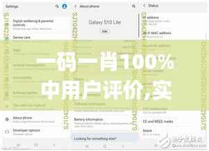 一码一肖100%中用户评价,实地验证设计方案_set84.194-9