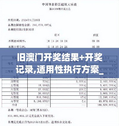 旧澳门开奖结果+开奖记录,适用性执行方案_3D85.964-1