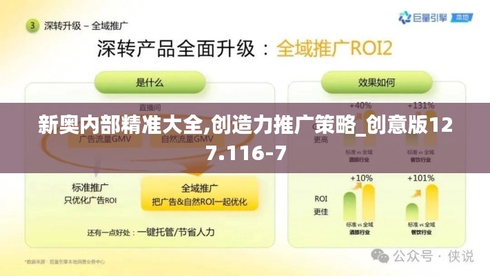 新奥内部精准大全,创造力推广策略_创意版127.116-7