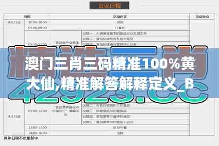 澳门三肖三码精准100%黄大仙,精准解答解释定义_BT81.437-8