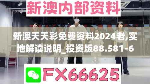 新澳天天彩免费资料2024老,实地解读说明_投资版88.581-6
