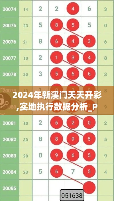 2024年新溪门天天开彩,实地执行数据分析_P版90.924-1