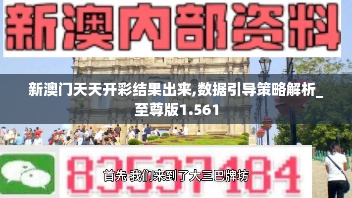 新澳门天天开彩结果出来,数据引导策略解析_至尊版1.561
