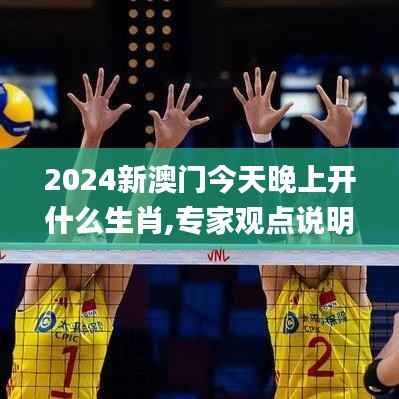 2024新澳门今天晚上开什么生肖,专家观点说明_Device65.199-1