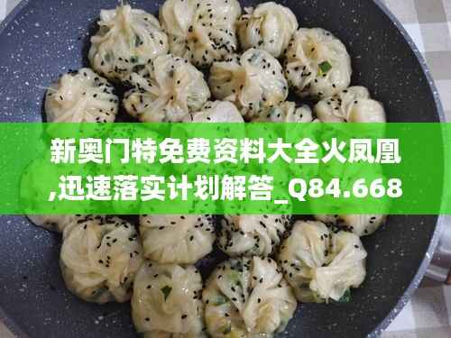 新奥门特免费资料大全火凤凰,迅速落实计划解答_Q84.668-4