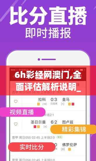 6h彩经网澳门,全面评估解析说明_安卓84.187-1