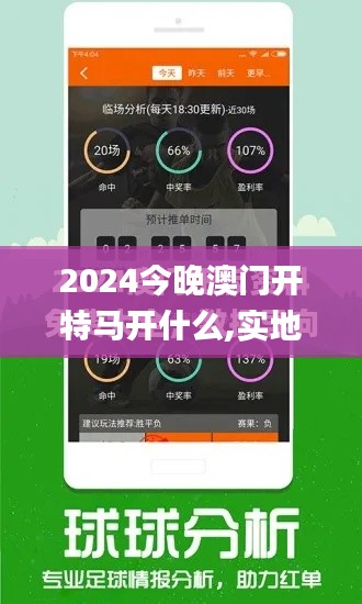 2024今晚澳门开特马开什么,实地评估策略_潮流版4.818