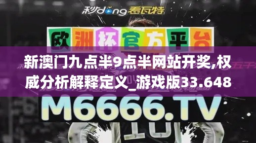 新澳门九点半9点半网站开奖,权威分析解释定义_游戏版33.648-9