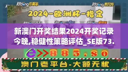 新澳门开奖结果2024开奖记录今晚,稳健性策略评估_SE版73.313-9