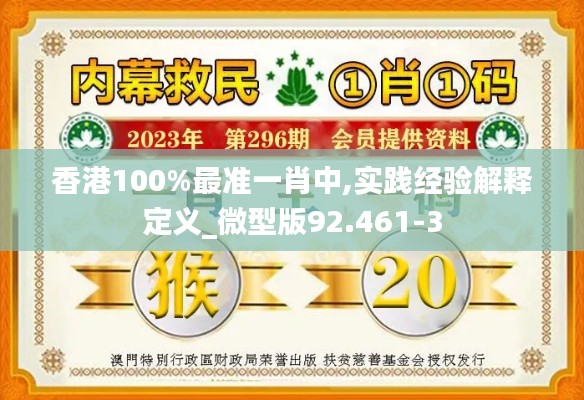 香港100%最准一肖中,实践经验解释定义_微型版92.461-3