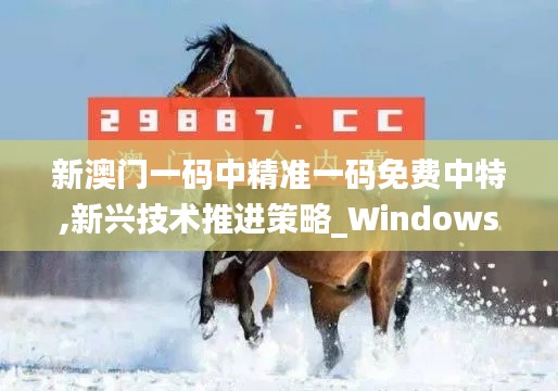 新澳门一码中精准一码免费中特,新兴技术推进策略_Windows21.915-5