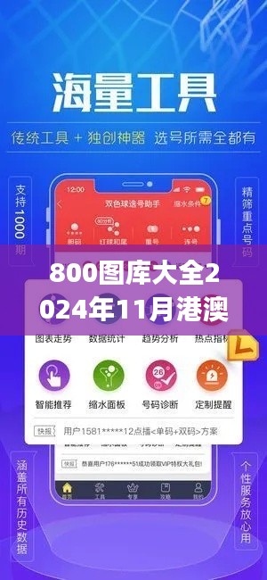 800图库大全2024年11月港澳,实地评估说明_理财版8.211