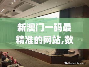 新澳门一码最精准的网站,数据设计驱动策略_桌面版6.179