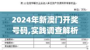 2024年新澳门开奖号码,实践调查解析说明_DX版161.784-8