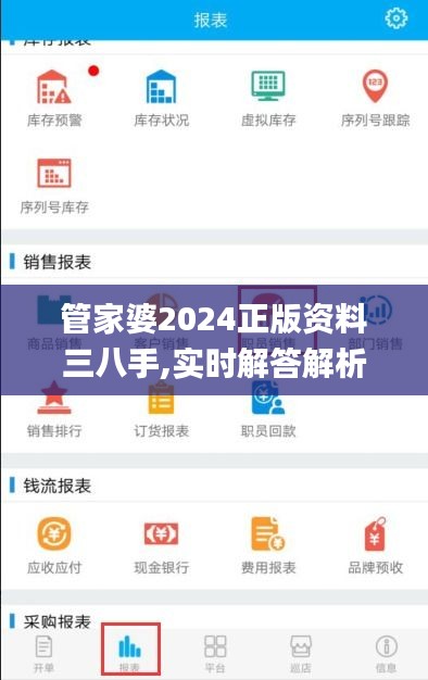 管家婆2024正版资料三八手,实时解答解析说明_Plus3.385