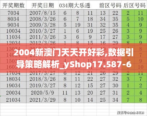 2004新澳门天天开好彩,数据引导策略解析_yShop17.587-6