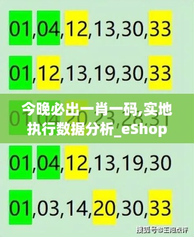 今晚必出一肖一码,实地执行数据分析_eShop175.376-5