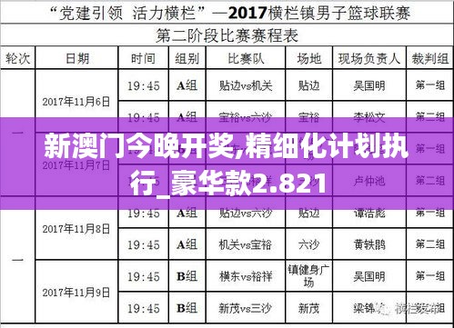 新澳门今晚开奖,精细化计划执行_豪华款2.821