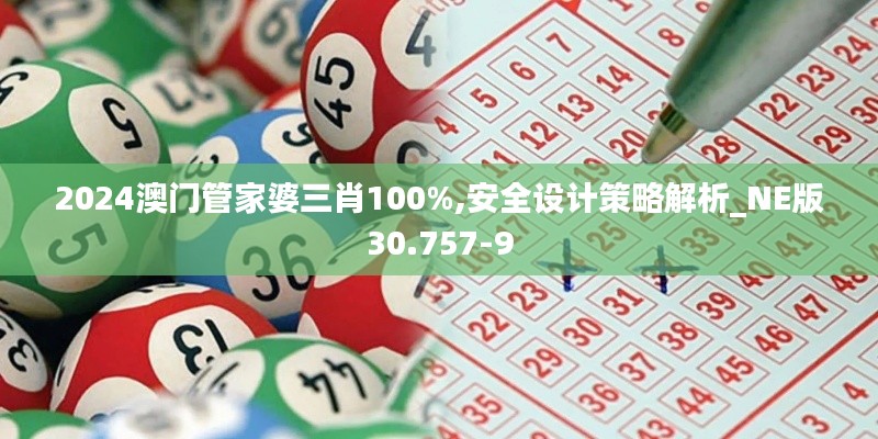 2024澳门管家婆三肖100%,安全设计策略解析_NE版30.757-9