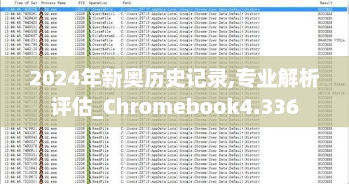 2024年新奥历史记录,专业解析评估_Chromebook4.336