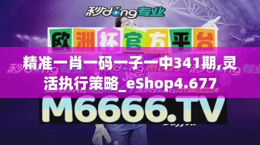 精准一肖一码一子一中341期,灵活执行策略_eShop4.677