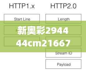 新奥彩294444cm216677,科学依据解释定义_nShop28.272-4