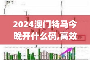 2024澳门特马今晚开什么码,高效性实施计划解析_交互版13.342
