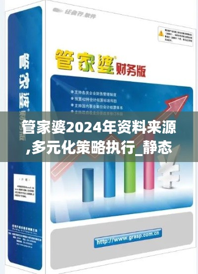 管家婆2024年资料来源,多元化策略执行_静态版17.386