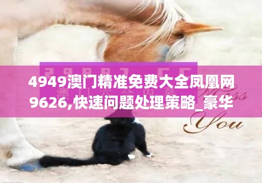 4949澳门精准免费大全凤凰网9626,快速问题处理策略_豪华款10.877