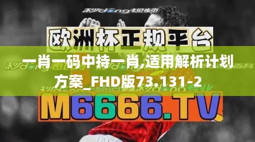 一肖一码中持一肖,适用解析计划方案_FHD版73.131-2