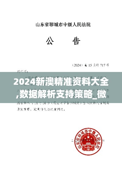 2024新澳精准资料大全,数据解析支持策略_微型版40.717-3