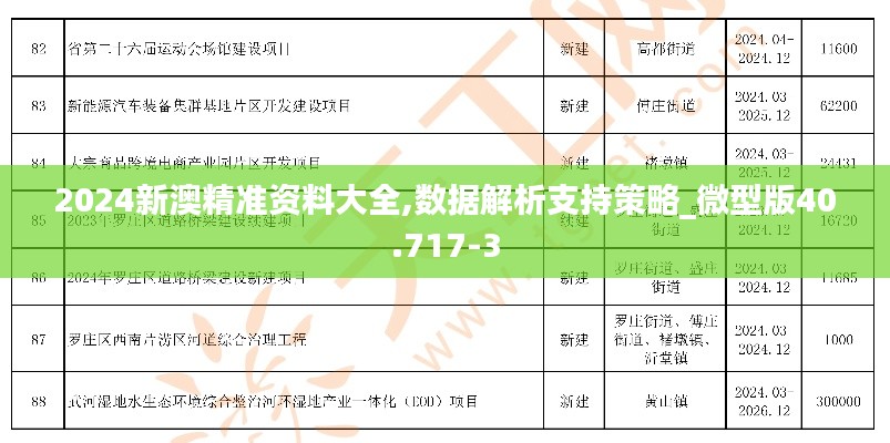 2024新澳精准资料大全,数据解析支持策略_微型版40.717-3