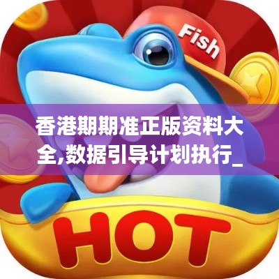 香港期期准正版资料大全,数据引导计划执行_CT1.361