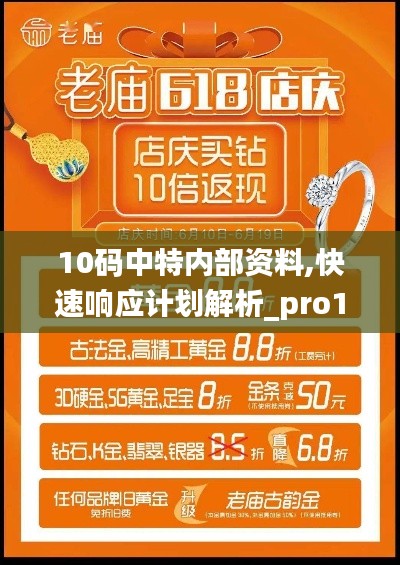 10码中特内部资料,快速响应计划解析_pro19.618-8