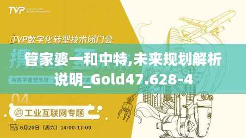 管家婆一和中特,未来规划解析说明_Gold47.628-4