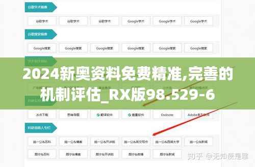 2024新奥资料免费精准,完善的机制评估_RX版98.529-6