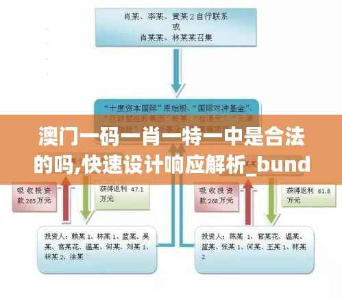 澳门一码一肖一特一中是合法的吗,快速设计响应解析_bundle89.739-1