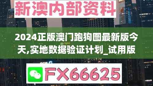 2024正版澳门跑狗图最新版今天,实地数据验证计划_试用版57.181-5