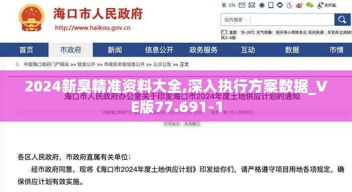 2024新臭精准资料大全,深入执行方案数据_VE版77.691-1