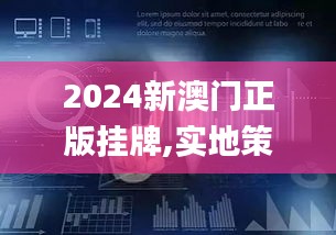 2024新澳门正版挂牌,实地策略评估数据_C版14.928