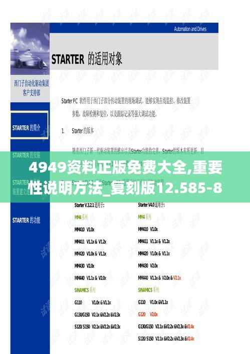 4949资料正版免费大全,重要性说明方法_复刻版12.585-8