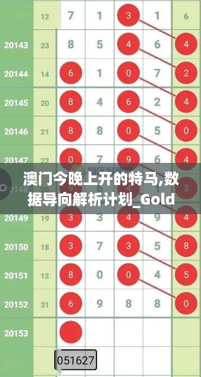 澳门今晚上开的特马,数据导向解析计划_Gold69.828-7