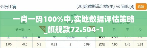 一肖一码100%中,实地数据评估策略_旗舰款72.504-1