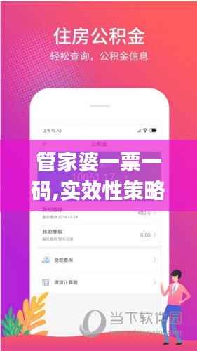 管家婆一票一码,实效性策略解析_专业版62.572-9